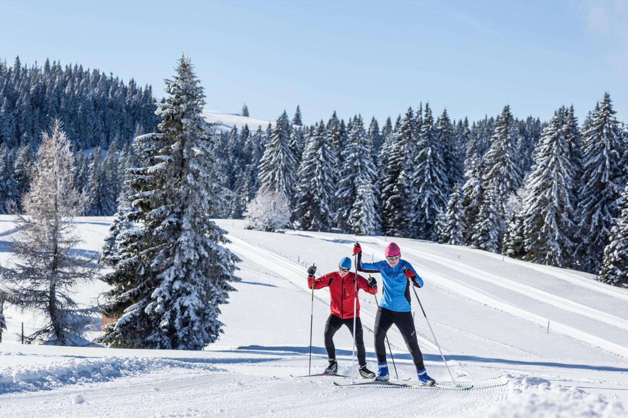 Ferienwohnung Schneelehner, 2-Schlafzimmer, Feldberg, Feldberg  Exterior foto